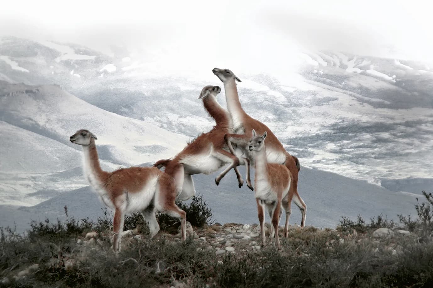Residencia Fotográfica en Patagonia 3